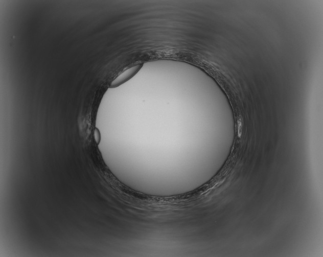 X0000089881011200706281046