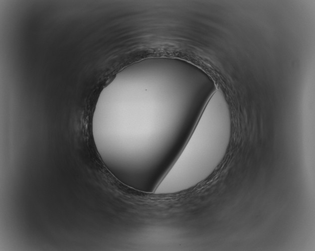 X0000089881013200706281046