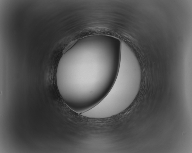 X0000089881014200706281046