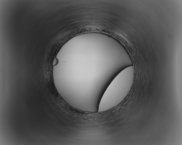 X0000089881015200706281046