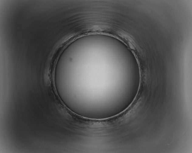 X0000089881018200706281046