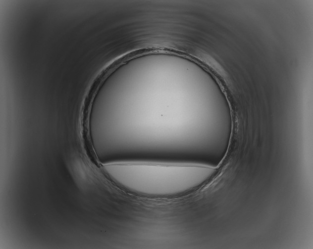 X0000089881020200706281046