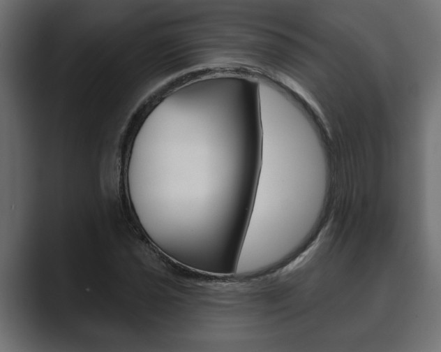 X0000089881021200706281046