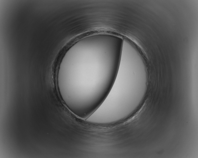 X0000089881022200706281046