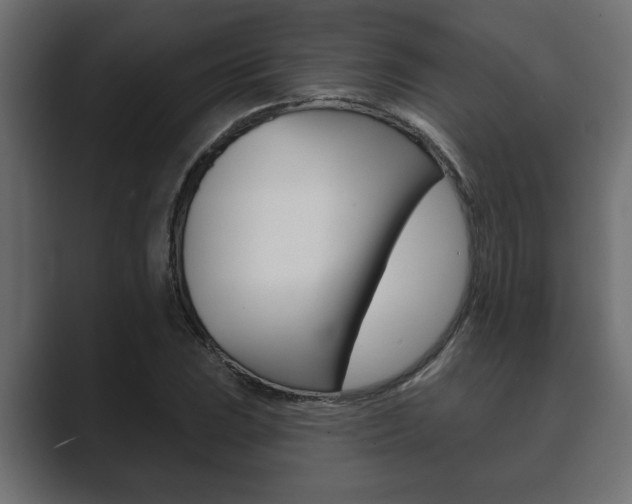X0000089881023200706281046