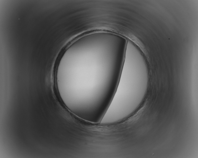 X0000089881028200706281046