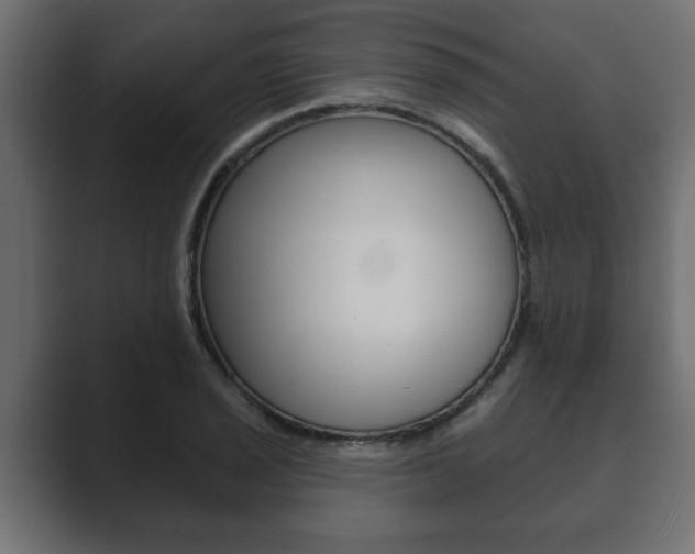 X0000089881029200706281046