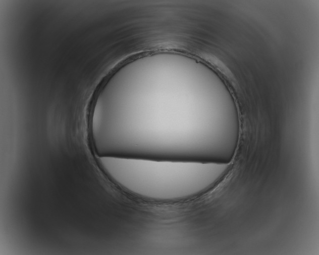 X0000089881031200706281046