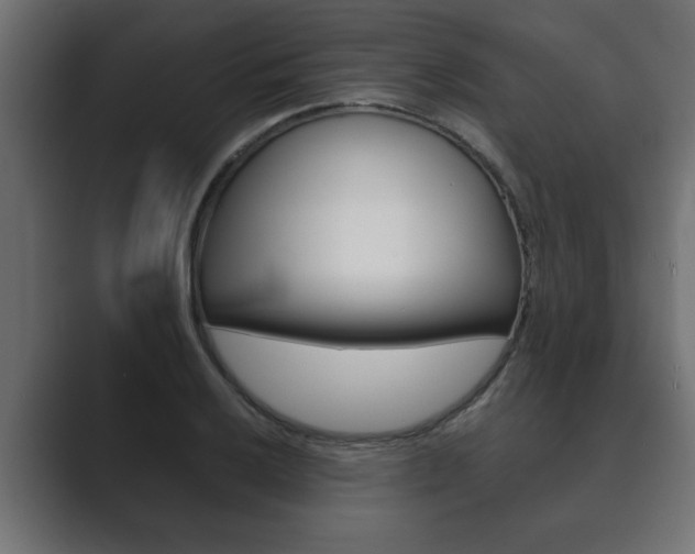 X0000089881032200706281046