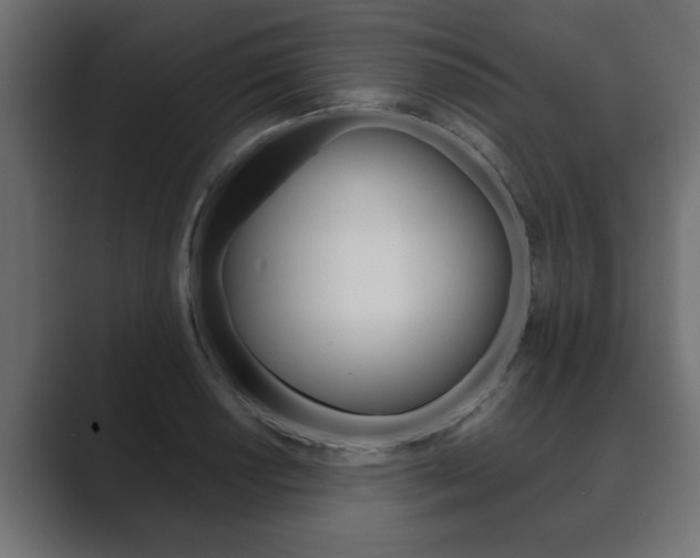 X0000089881034200706281046