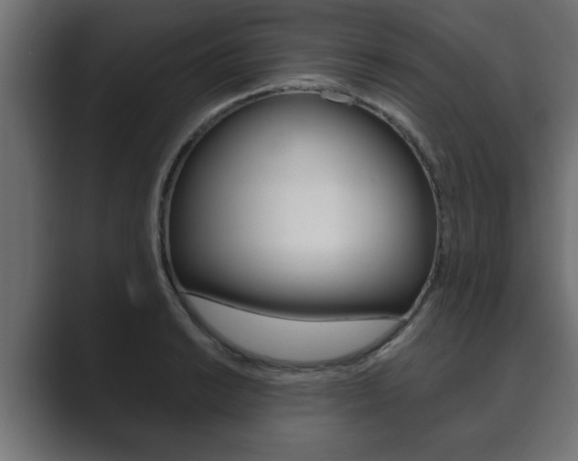 X0000089881038200706281046