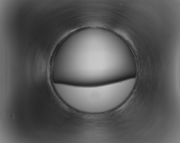 X0000089881040200706281046