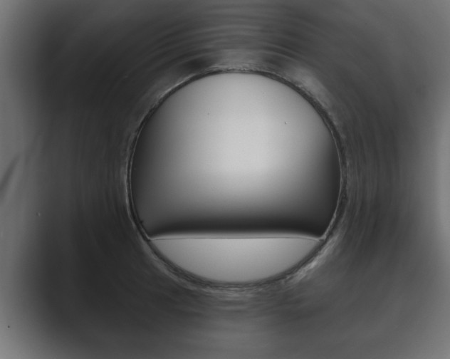 X0000089881041200706281046