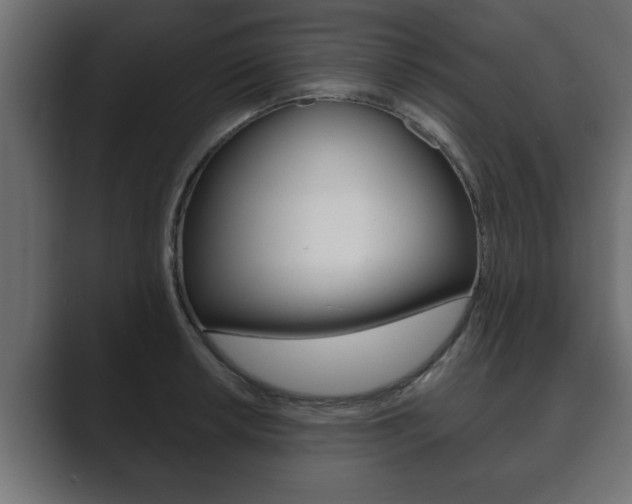 X0000089881042200706281046