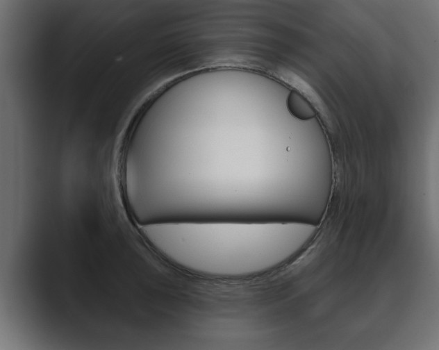 X0000089881043200706281046