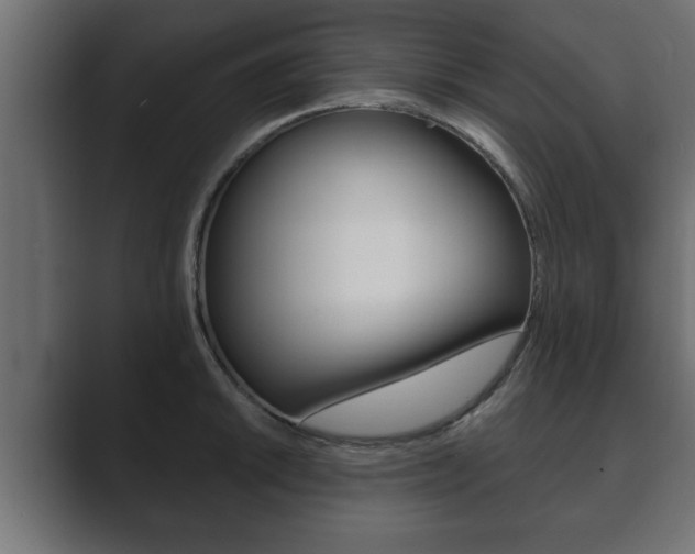 X0000089881046200706281046