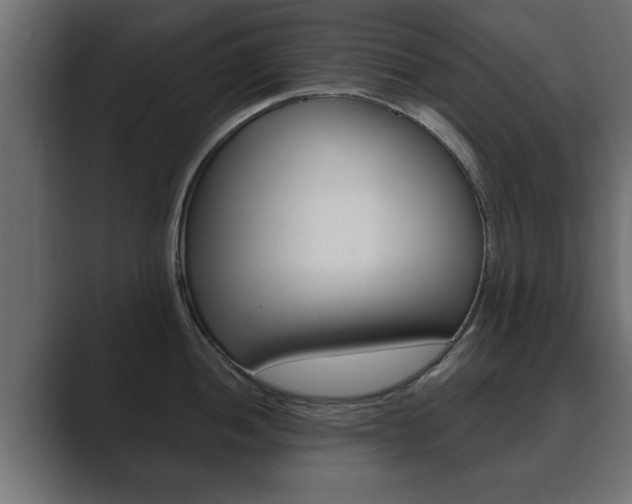 X0000089881052200706281046