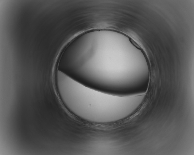 X0000089881053200706281046