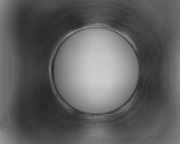 X0000089881054200706281046
