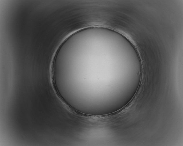 X0000089881056200706281046