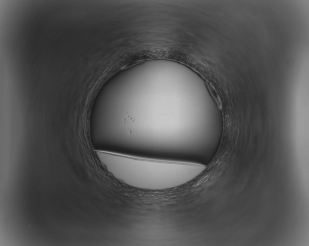 X0000089881057200706281046