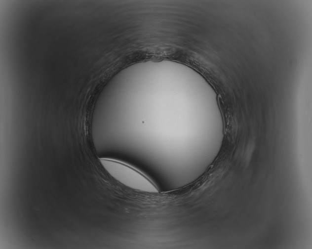 X0000089881058200706281046