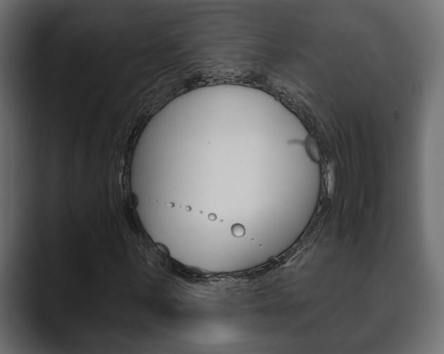 X0000089881059200706281046