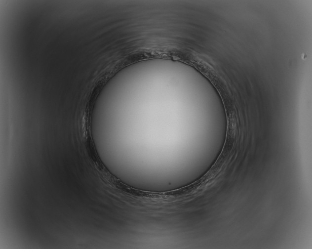 X0000089881060200706281046