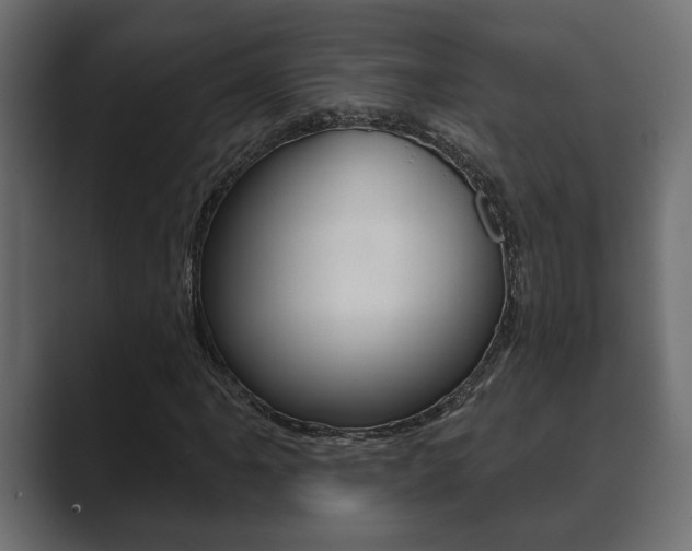 X0000089881061200706281046