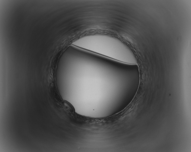 X0000089881062200706281046