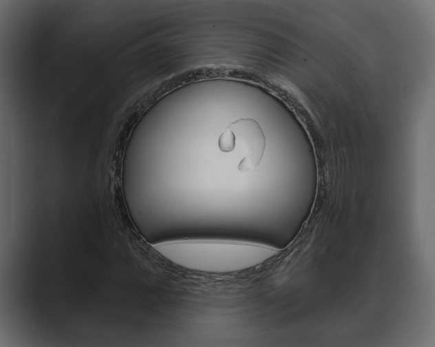X0000089881064200706281046