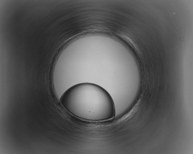 X0000089881065200706281046