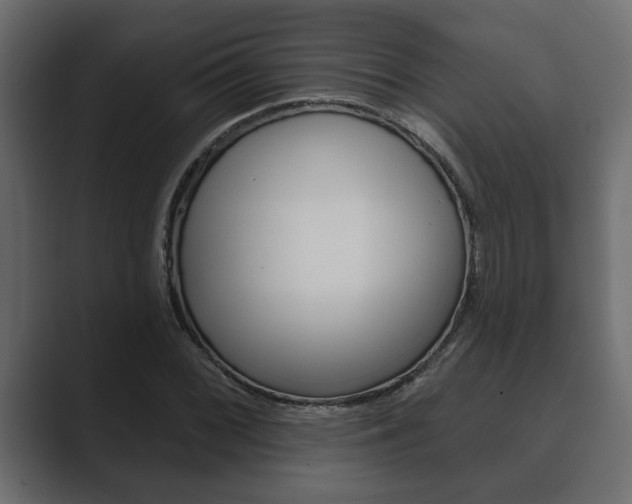 X0000089881068200706281045