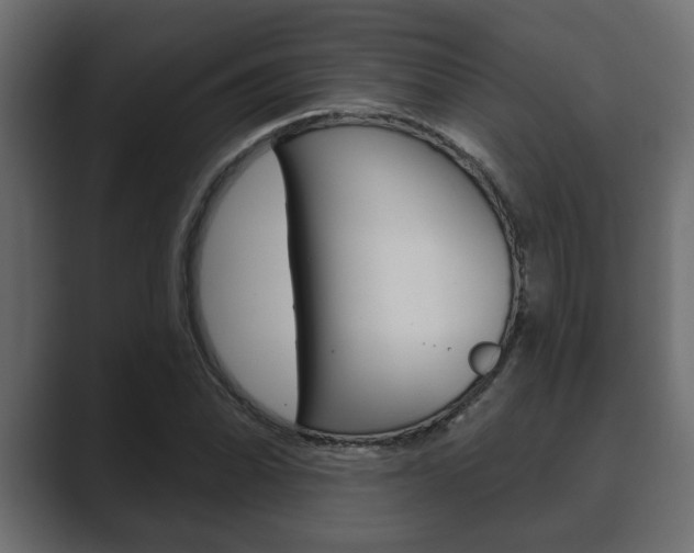 X0000089881070200706281045