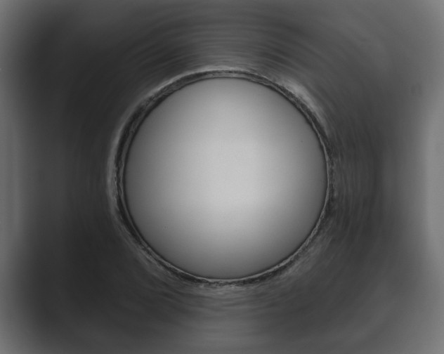 X0000089881072200706281045