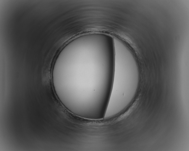 X0000089881073200706281045
