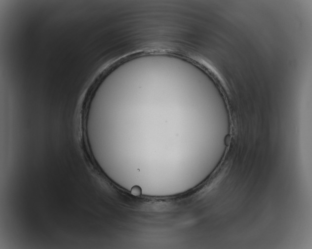 X0000089881075200706281045