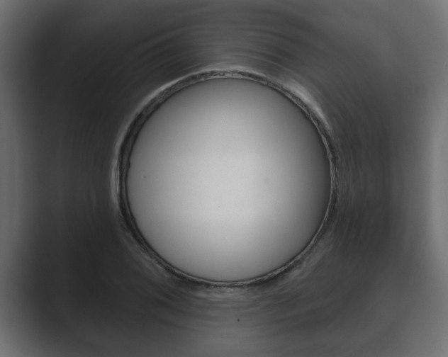 X0000089881076200706281045