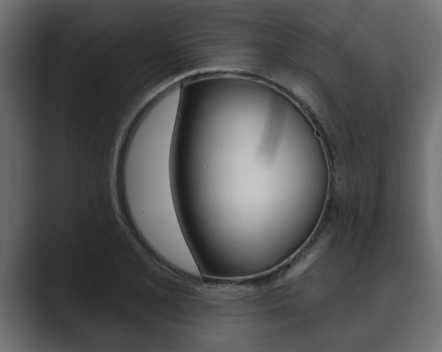 X0000089881077200706281045