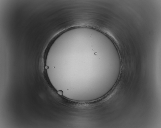 X0000089881079200706281045