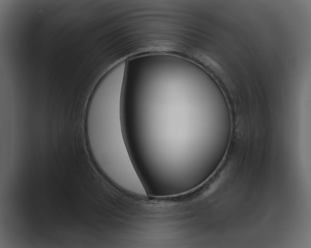 X0000089881081200706281045