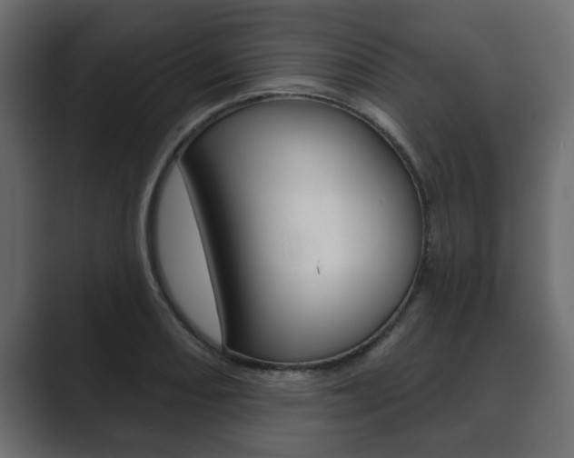 X0000089881082200706281045