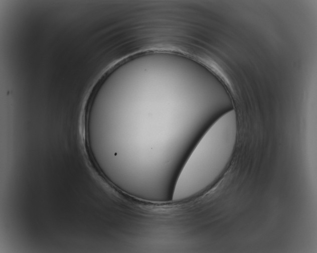X0000089881084200706281045