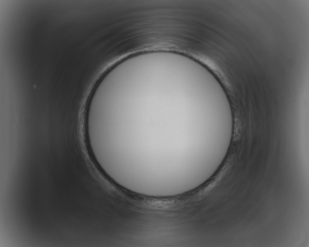 X0000089881086200706281045