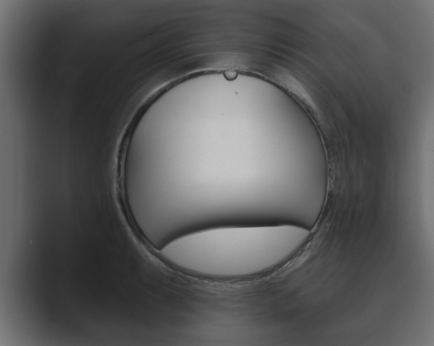 X0000089881087200706281045