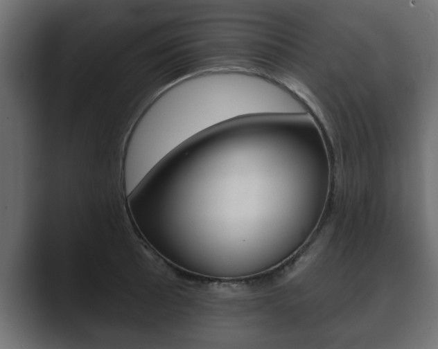 X0000089881089200706281045