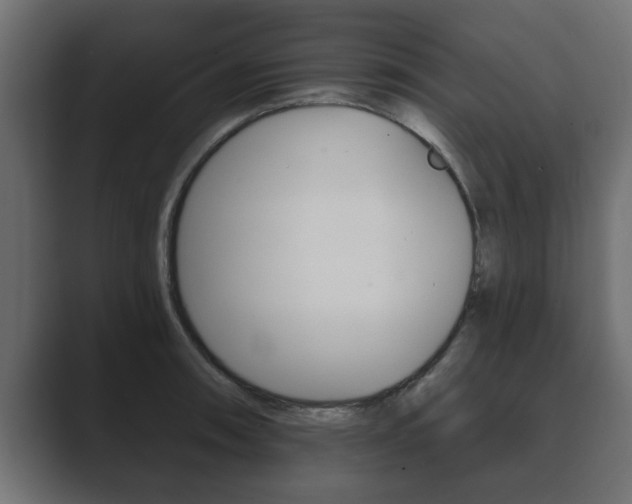 X0000089881090200706281045