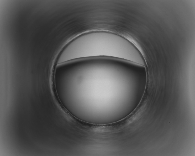 X0000089881093200706281045