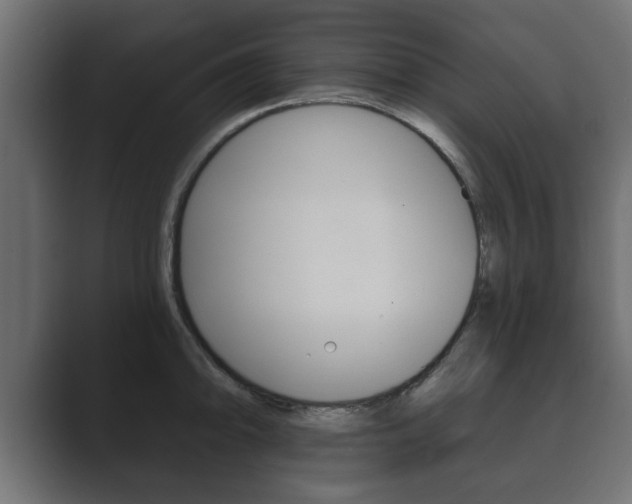 X0000089881094200706281045