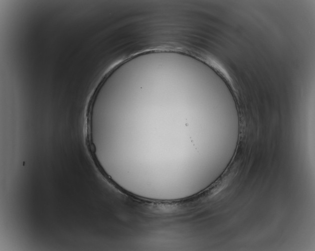 X0000089881095200706281045
